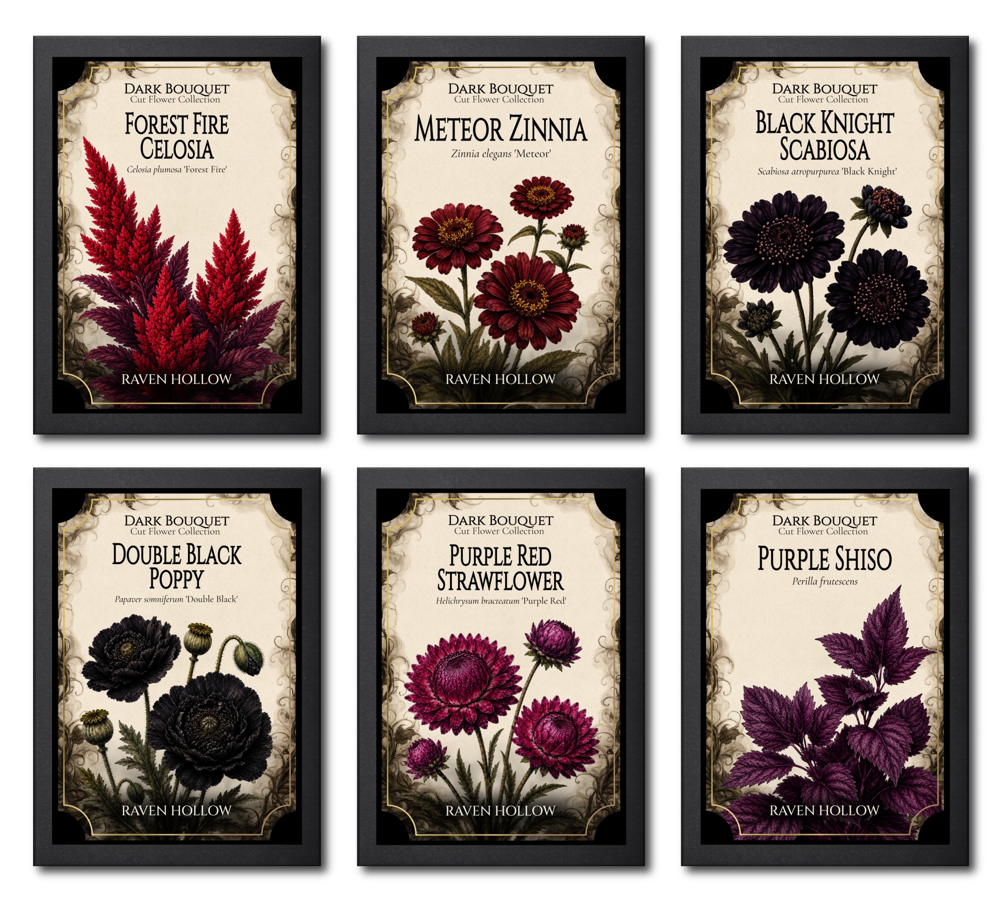 Dark Bouquet Collection seed packet collection hero image